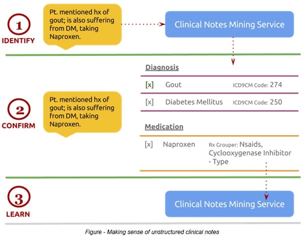 Clinical Notes Mining Service (CNMS)